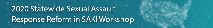 2020 Statewide Sexual Assault Response Reform In Saki Workshop Sexual Assault Kit Initiative 8496